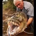 ���� ���������, �����������, 57 ��� - ��������� 16 ����� 2018 � ������ ���� ����������