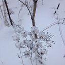 ���� �������, ������, 58 ��� - ��������� 31 ��� 2018