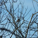 ���� ������, ������-��-����, 46 ��� - ��������� 9 ������ 2018 � ������ ������ ��������