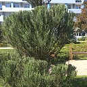 ���� Oleg, ������� ����, 78 ��� - ��������� 20 ������ 2018 � ������ ������ ��� ����!�