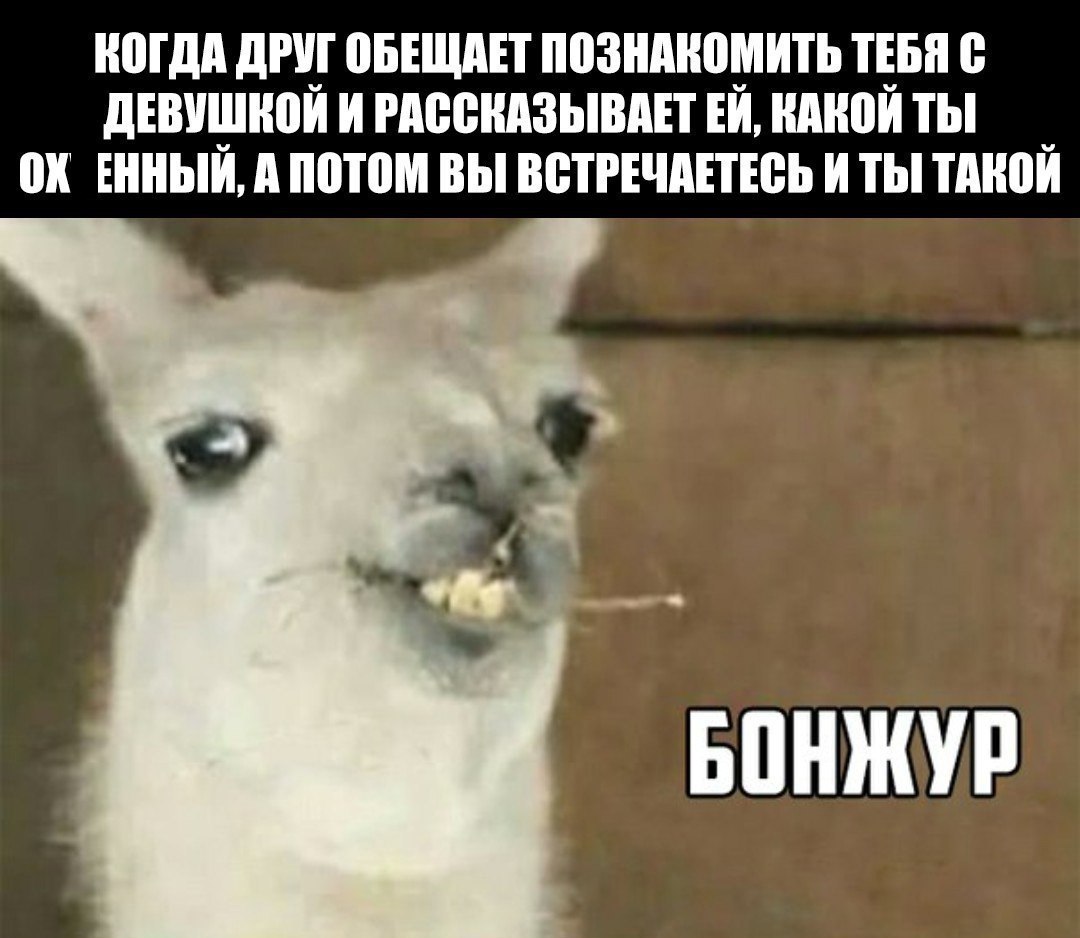    - 24  2018  03:43