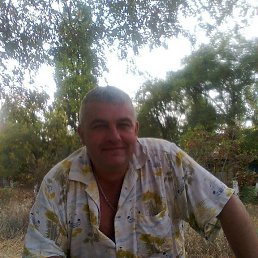 ������, �������, 62 ����