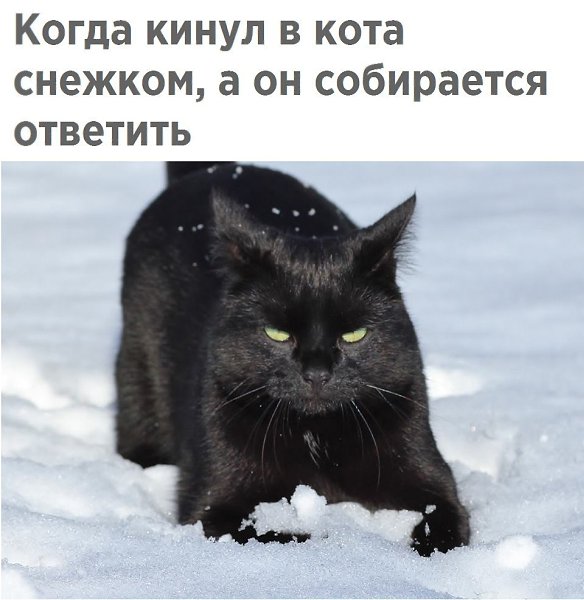  -  - 17  2018  03:31
