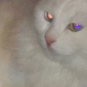 ���� ��������, ������, 46 ��� - ��������� 26 ������� 2018 � ������ ������ ��������