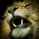 ���� ~*Nt*, ���� - ��������� 28 ������ 2017 � ������ ���� ����������
