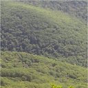 ���� Aleks, ���������, 65 ��� - ��������� 7 ��� 2018 � ������ ���� ����������