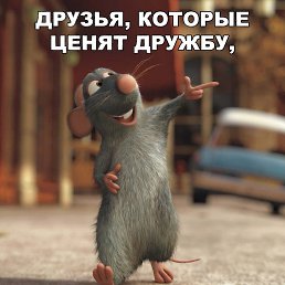 , , 46 