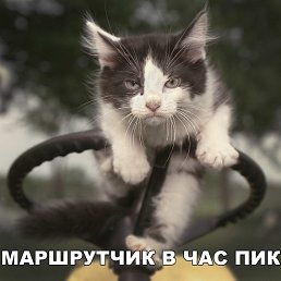 ������, ������ ��������