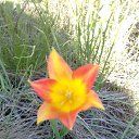  Olga, , 50  -  4  2018    