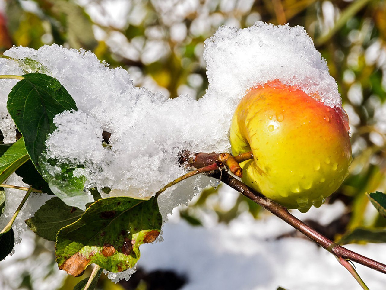 �������� �������! - 7 ������� 2017 � 15:59