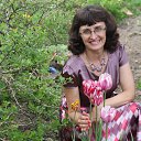 ���� �����, ������ �������� - ��������� 25 ��� 2018 � ������ ���������� ������