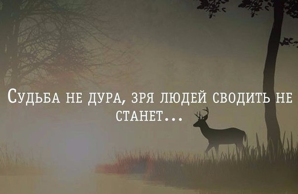   - 13  2018  03:32