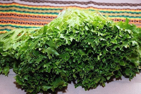 Диетический теплый салат из кальмаров с овощами.Ингредиенты2 шт Подготовленные тушки кальмаров1 ... - 3