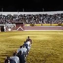 ���� �����, ������, 56 ��� - ��������� 10 ������� 2017