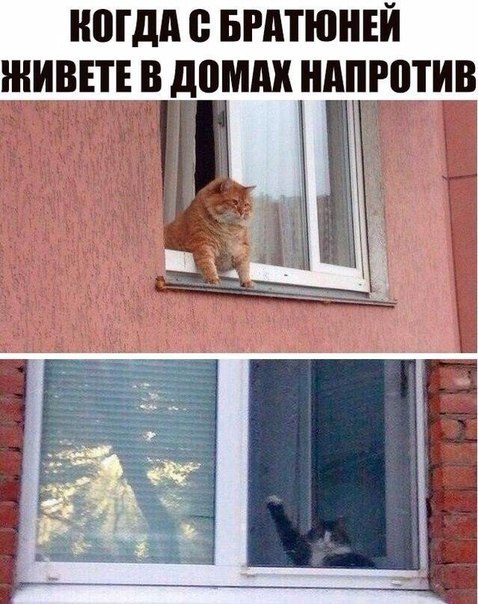    - 4  2018  03:33