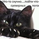  ,  -  1  2018    