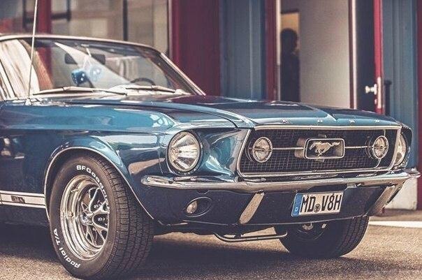 Mustangs - 9