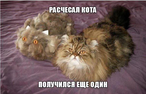 � ����� �����! - 16 ������ 2018 � 07:52