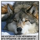 ���� ��������, ��������, 53 ���� - ��������� 13 ������ 2018 � ������ ���� ����������