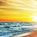 ���� �������� �������, ������, 54 ���� - ��������� 9 ������� 2018 � ������ ���� ����������