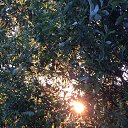���� ������, ��������, 51 ��� - ��������� 13 ���� 2018 � ������ �������� ����� ���� � ���� � ����������