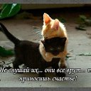 ���� �����, ������������ - ��������� 28 ���� 2018 � ������ ���� ����������