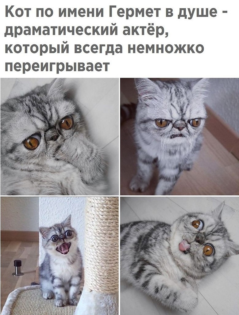  |   - 12  2018  02:48
