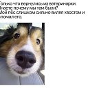  Deleted, -, 52  -  24  2018    