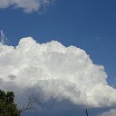 ���� ����, �������, 56 ��� - ��������� 7 ���� 2018 � ������ ���� ����������