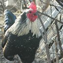 ���� ������, ������-��-����, 46 ��� - ��������� 9 ������ 2018 � ������ ������ ��������