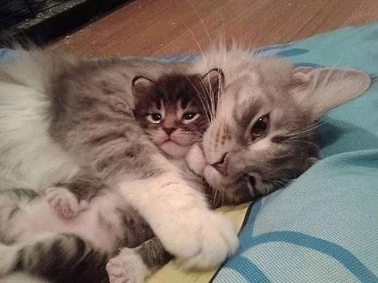 https://fotostrana.ru/away?to=/sl/ZTw