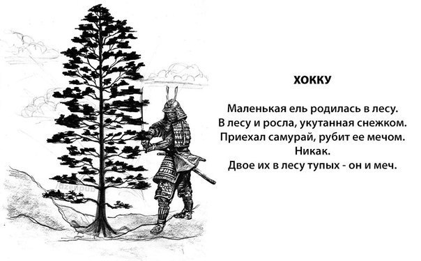  - 19  2017  09:05
