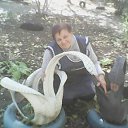 ���� ������, �������� - ��������� 20 ������ 2017 � ������ ������ ��������