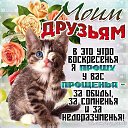 ���� ������, ��������, 52 ���� - ��������� 19 ������� 2018 � ������ ������ ��������
