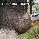 ���� ����, ������������, 57 ��� - ��������� 27 ������ 2018 � ������ ���� ����������