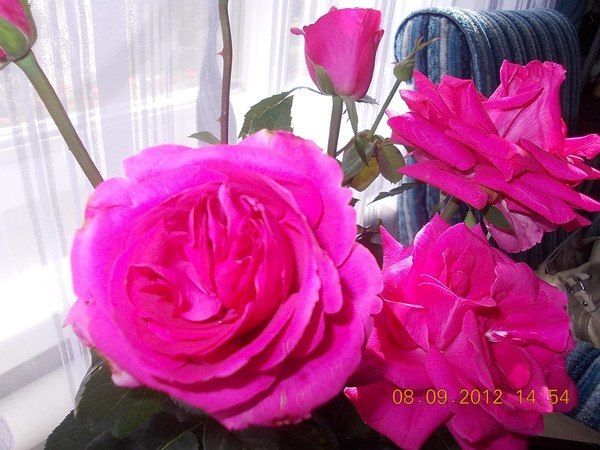 Miasnik Mnacakanyan - 17 ��� 2018 � 09:23