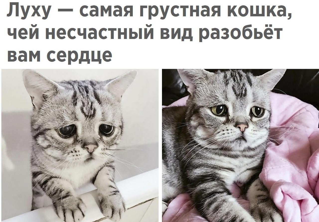  - 6  2018  02:52
