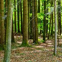  , , 52  -  27  2018     ()