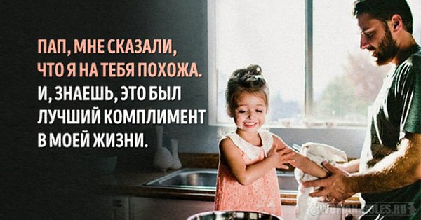 ������ �����. - 22 ������ 2017 � 12:00