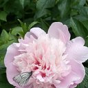  , - -  26  2018     2018