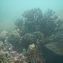 ���� �����������, ���������, 66 ��� - ��������� 3 ������� 2017 � ������ ���� ����������