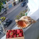 ��� ����� �������� � ��� ���� �� ����� �������� ) �� ������� ��������