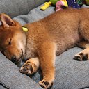 ���� �����, �����-���������, 56 ��� - ��������� 26 ������� 2017 � ������ ���� ����������