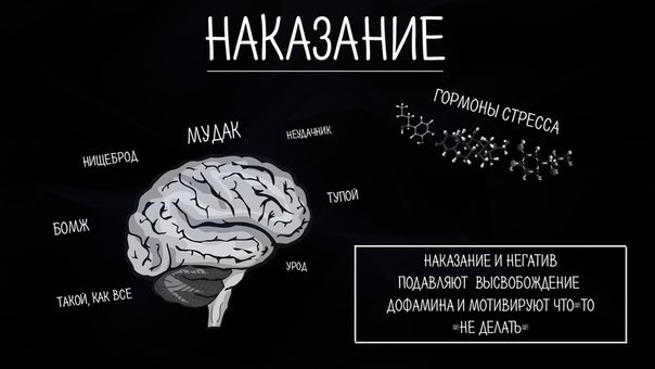 ��������� ���� - 5