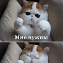 ���� A, ���� - ��������� 21 ������ 2018 � ������ ������ ��������