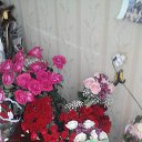   , -, 38  -  10  2018    