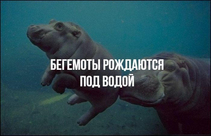  :    - 18  2018  03:55