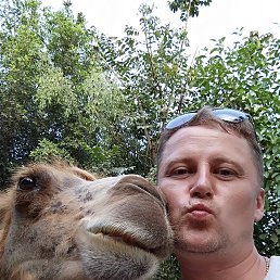 Alexei, ����������, 48 ���