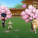     , , 26  -  11  2018   Tropikania