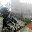  , , 72  -  12  2017    2014